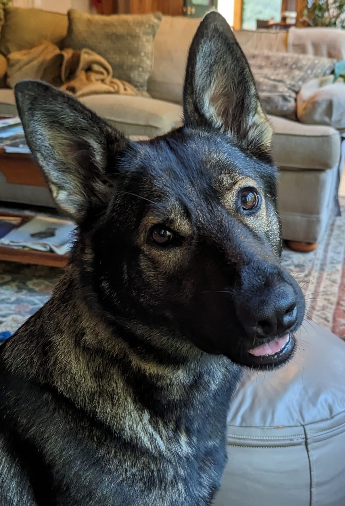 The Missing Variable