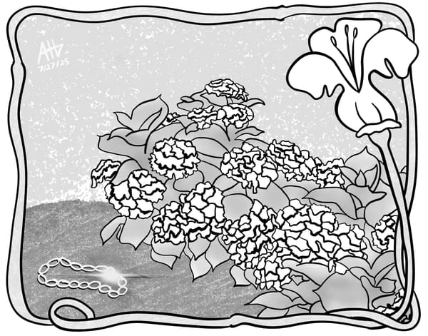 The Echo Gardener