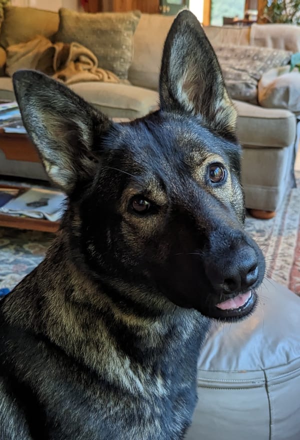 The Missing Variable